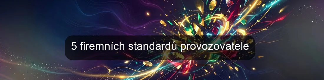 5 firemních standardů provozovatele